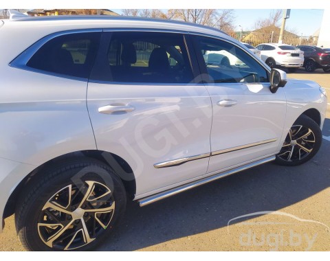 HAVAL JOLION с 2021-н.в. боковые пороги ARENA d60 из нержавеющей стали